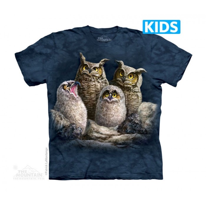 猫头鹰伐木累 OWL FAMILY - Kids 鸟类图案T恤 美国 THE MOUNTAIN 3DT恤(2016)【少女|儿童】|TMTEE.com