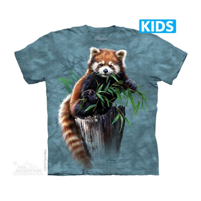 小熊猫 BAMBOO RED PANDA - Kids 可爱动物T恤 THE MOUNTAIN 3DT恤(2016)【少女|儿童】| TMTEE.com