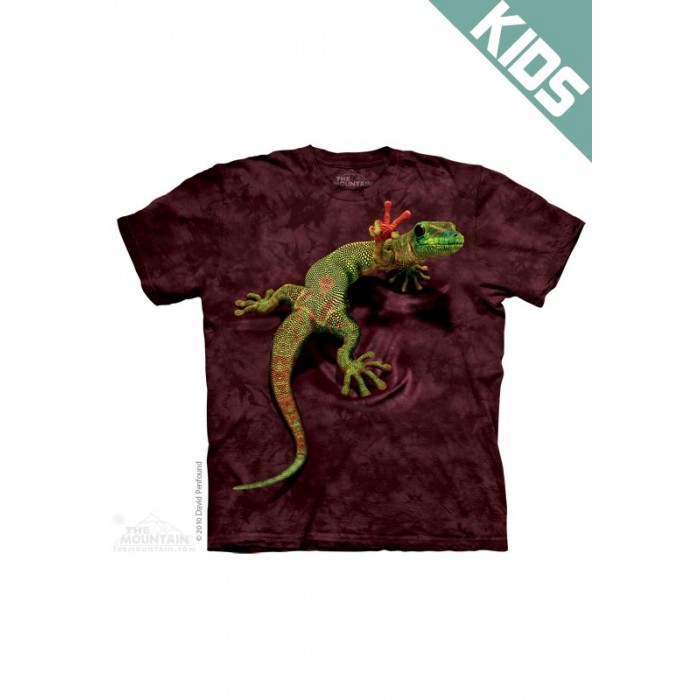 壁虎Peace Out Gecko - Kids动物图案T恤 THE MOUNTAIN 3DT恤【少女|儿童】