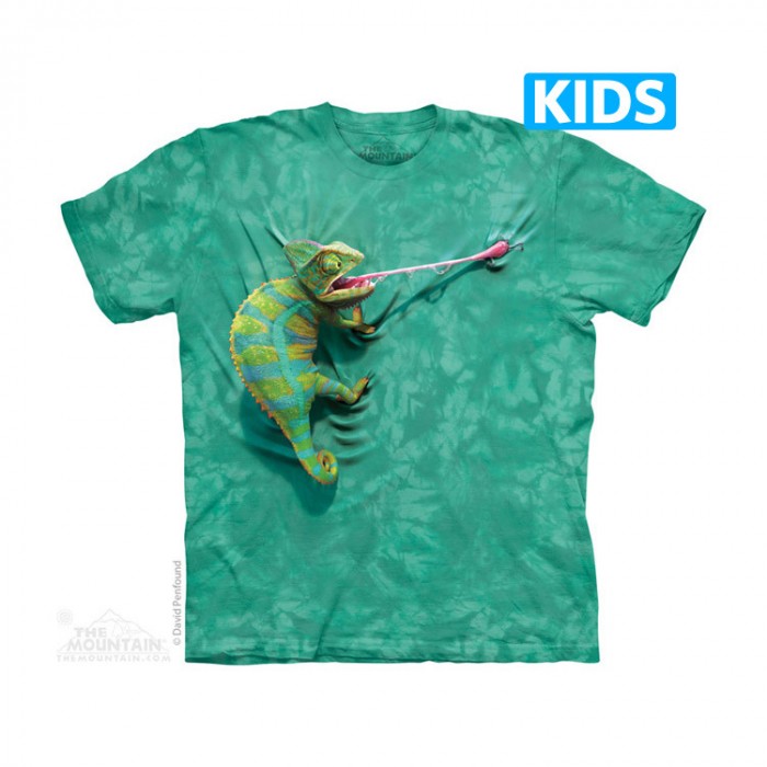 变色龙 CLIMBING CHAMELION - Kids 野生动物T恤 美国 THE MOUNTAIN 3DT恤(2015)【少女|儿童】|TMTEE.com