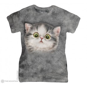 小灰猫 Cat Nip Kitten 猫咪图案 Ladies T恤 THE MOUNTAIN 3D女士T恤