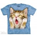 哦不！ Oh No Cat  猫咪图案T恤 THE MOUNTAIN 3DT恤（2016）| TMTEE.com