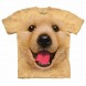 新款金毛幼犬 BF Golden Retiever Puppy 狗狗图案T恤 THE MOUNTAIN 3DT恤 (2017)