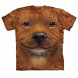 新款比特小狗 BF Pitbull Puppy 宠物狗图案T恤 THE MOUNTAIN 3DT恤 (2017)