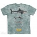 鲨鱼成排 SHARK LINE UP - SHARK WEEK 鲨鱼图案T恤 美国THE MOUNTAIN 3DT恤（2016）