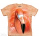 火烈鸟 BIG FACE FLAMINGO 鸟类图案T恤 THE MOUNTAIN 3DT恤（2016）| TMTEE.com