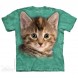 THE MOUNTAIN 3DT恤 猫图案T恤 虎斑小猫 猫咪