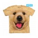 新款金毛小狗BF Golden Retiever Puppy -Kids宠物图案T恤 THE MOUNTAIN 3DT恤 (2017)【少女|儿童】