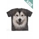 阿拉斯加雪橇犬ALASKAN MALAMUTE FACE - Kids宠物图案T恤 THE MOUNTAIN 3DT恤【少女|儿童】